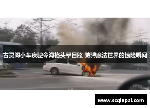 古灵阁小车疾驶令海格头晕目眩 驰骋魔法世界的惊险瞬间